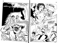 PIG 007 - 15-FR.jpg