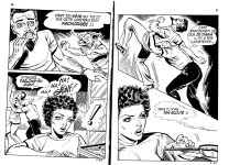 PIG 007 - 16-FR.jpg