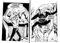 PIG 007 - 17-FR.jpg