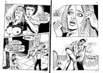 PIG 007 - 18-FR.jpg