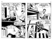 PIG 007 - 20-FR.jpg