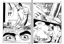 PIG 007 - 23-FR.jpg