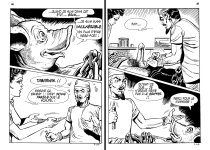 PIG 007 - 24-FR.jpg