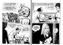 PIG 007 - 26-FR.jpg