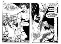 PIG 007 - 28-FR.jpg