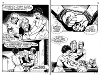PIG 007 - 30-FR.jpg
