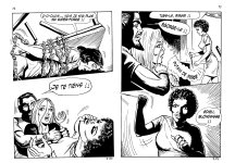 PIG 007 - 37-FR.jpg