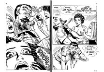 PIG 007 - 38-FR.jpg