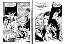 PIG 007 - 51-FR.jpg