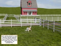 415_page_417.webp