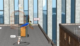 SL_062.jpg
