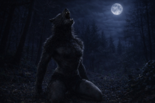file_00000000c89c720eb8b380242e1eb3dc.png