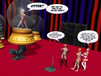 kittykringle_0064.jpg