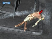 220.jpg