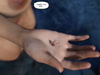 Monthly 28-25 text.png