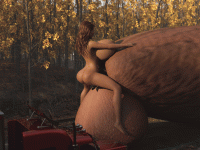 Monthly 2-41-4 bis 3.11 GIF.gif