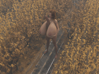 Monthly 2-46-5.4 GIF.gif
