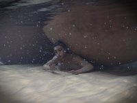 Monthly 2-46-part2-21.1188 edit.jpg