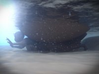 Monthly 2-46-part2-21.2192 edit.jpg