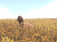 Monthly 2-48-23.2290.jpg