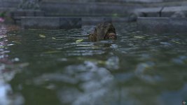 TOR (58).jpg TOR (58).jpg