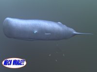 AaAl-OnBd - U 022 (Custom).jpg