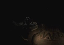 080.jpg