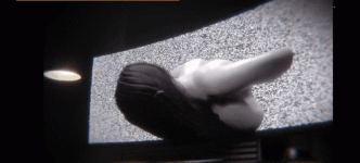 GIF_20260208_154042_561.gif