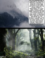 translated-1 (2).jpg