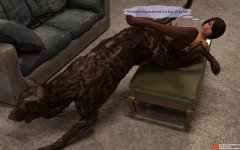 37.jpg