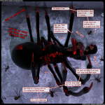 HW2022_015_ed.png