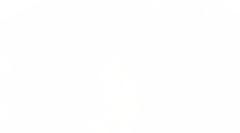 151.png