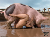20260218_1412_image(3).png