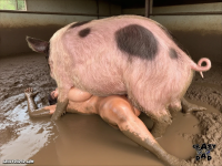 20260218_1412_image(7).png