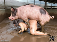 20260218_1412_image.png