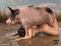 20260218_1413_image(1).png
