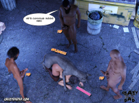 29.png