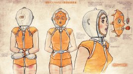 Prisoner head protection gear jap.jpg