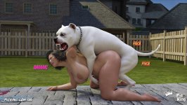 IMG_3514.jpeg