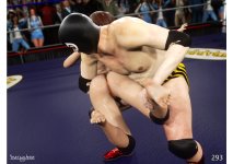 293.jpg