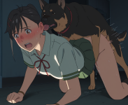 IFD13.png