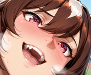 DSFH15.png