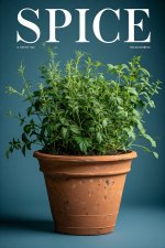 Magazine_Cover_Titled_SPICE_in (1).jpeg