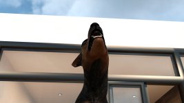 wuffbitch117.jpg
