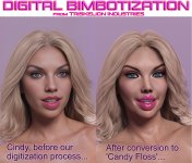Digital Bimbotization from Triskelion Industries.jpg