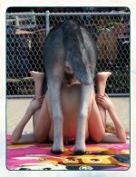 Playing with my Beast Friend Vol.2 (12).jpg