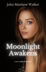 Moonlight Awakens_ a sex-trafficking story (Out of the Darkness Book 1) - Paige Bond.jpg