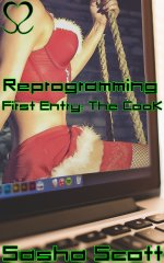 Reprogramming_ First Entry_ The Cook (Computer Warp Book 1) - Sasha Scott.jpg Reprogramming_ First Entry_ The Cook (Computer Warp Book 1) - Sasha Scott.jpg