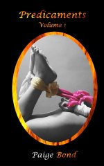 Predicaments (Stress & Predicament BDSM) - Paige Bond.jpg