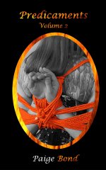 Predicaments 2 (Stress & Predicament BDSM) - Paige Bond.jpg